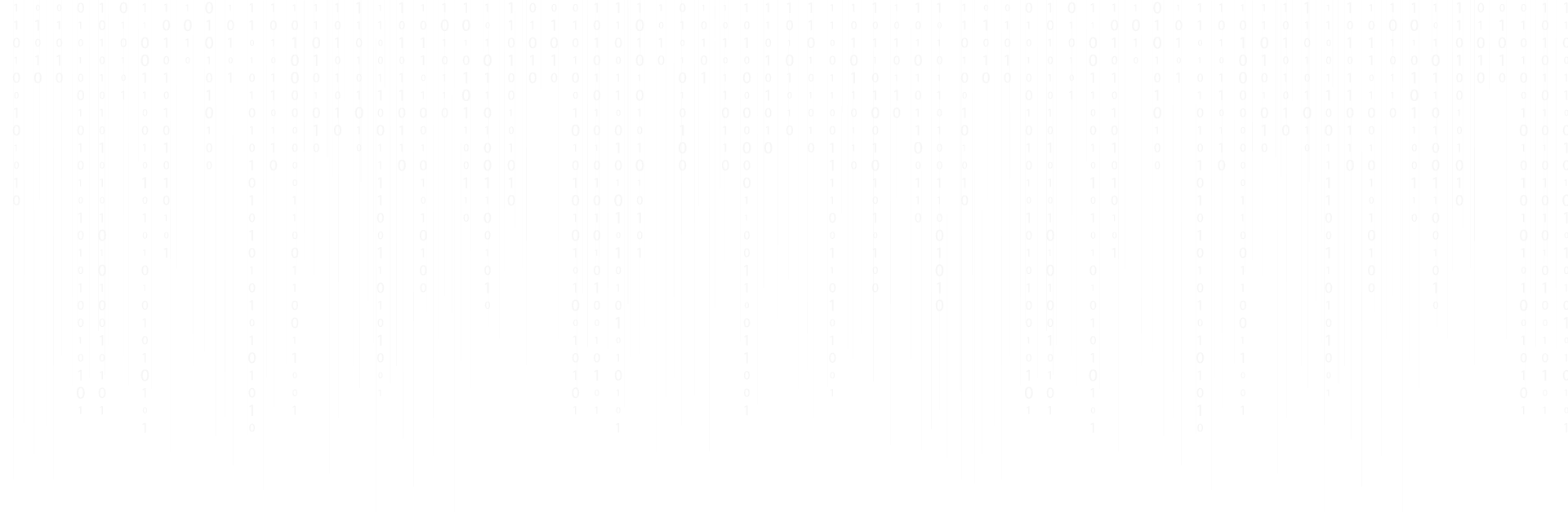 IT Developer {Odoo} & Systems Specialist