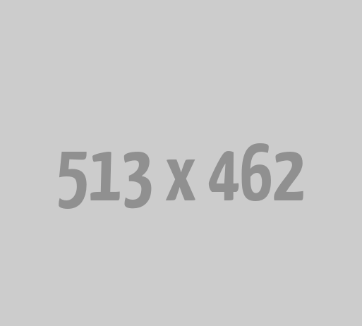 IT Developer {Odoo} & Systems Specialist